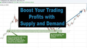 ForexBee Supply and Demand Indicator Mt4 Review