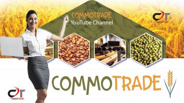 Commotrade Youtube Channel Twitter Account