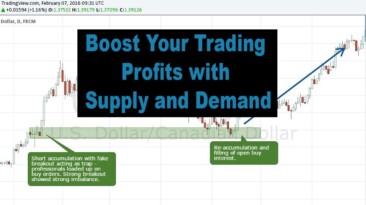 ForexBee Supply and Demand Indicator Mt4 Review